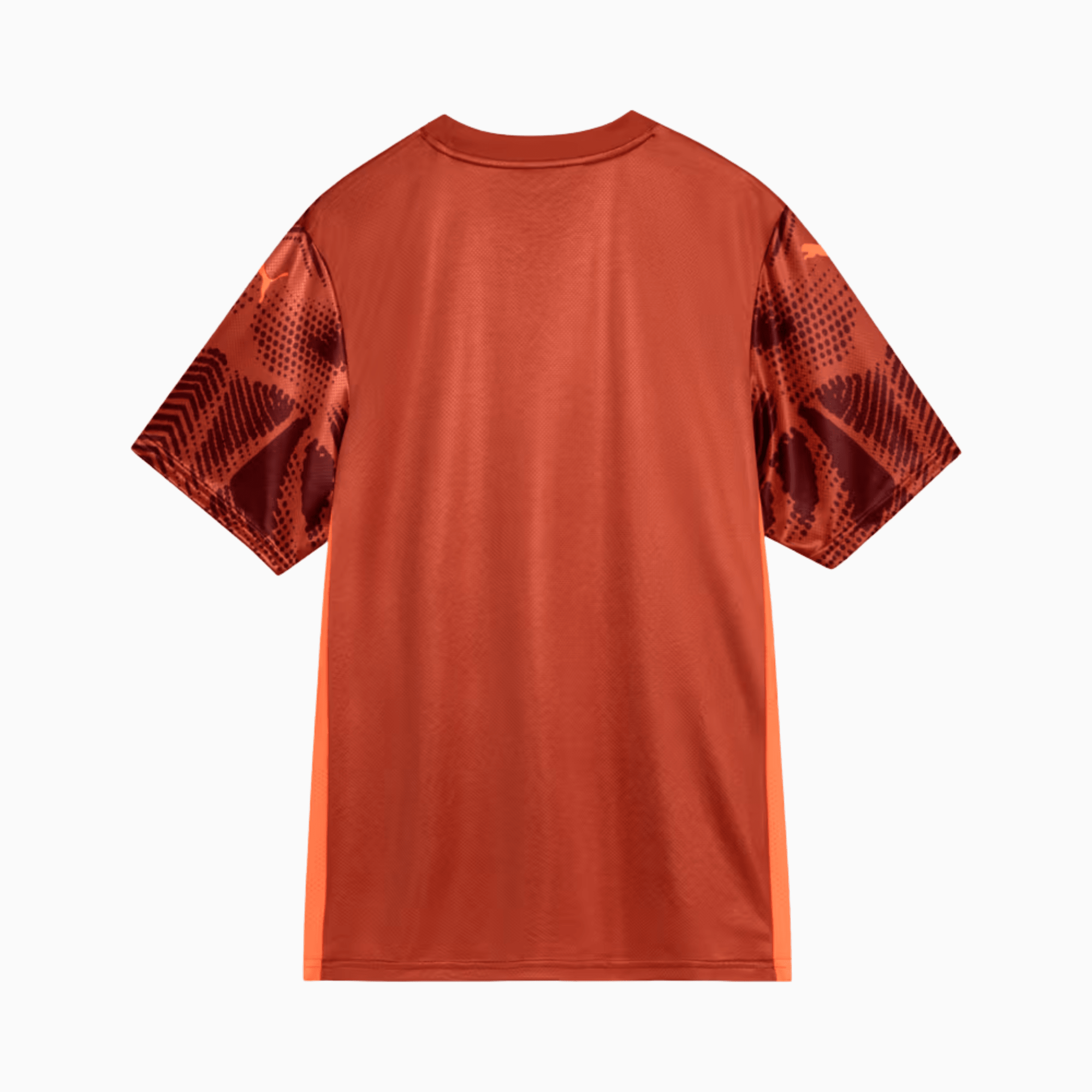 Camisa Puma Palmeiras 2025/26 Goleiro II - Manto Club