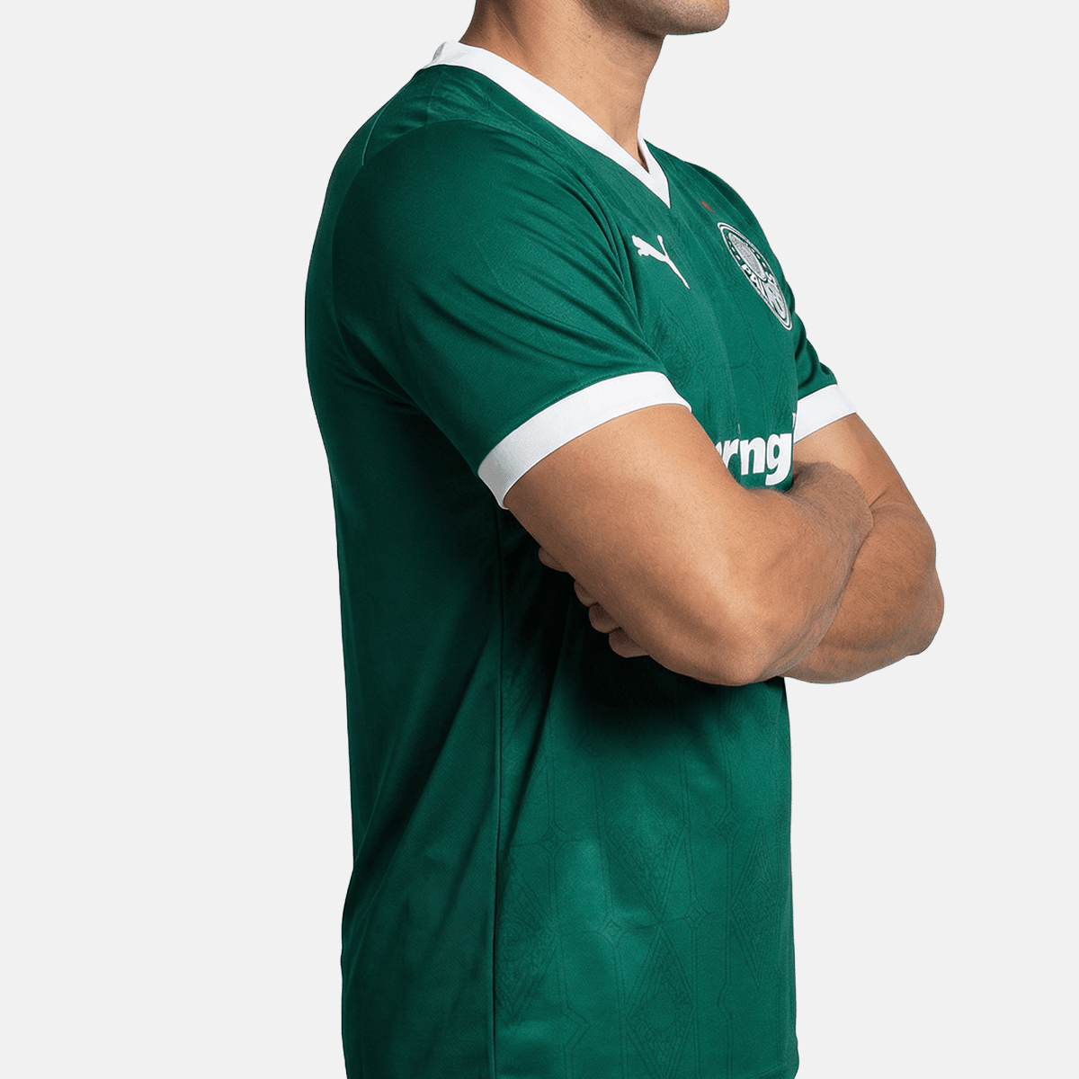 Camisa Puma Palmeiras 2025/26 I Jogador - Manto Club