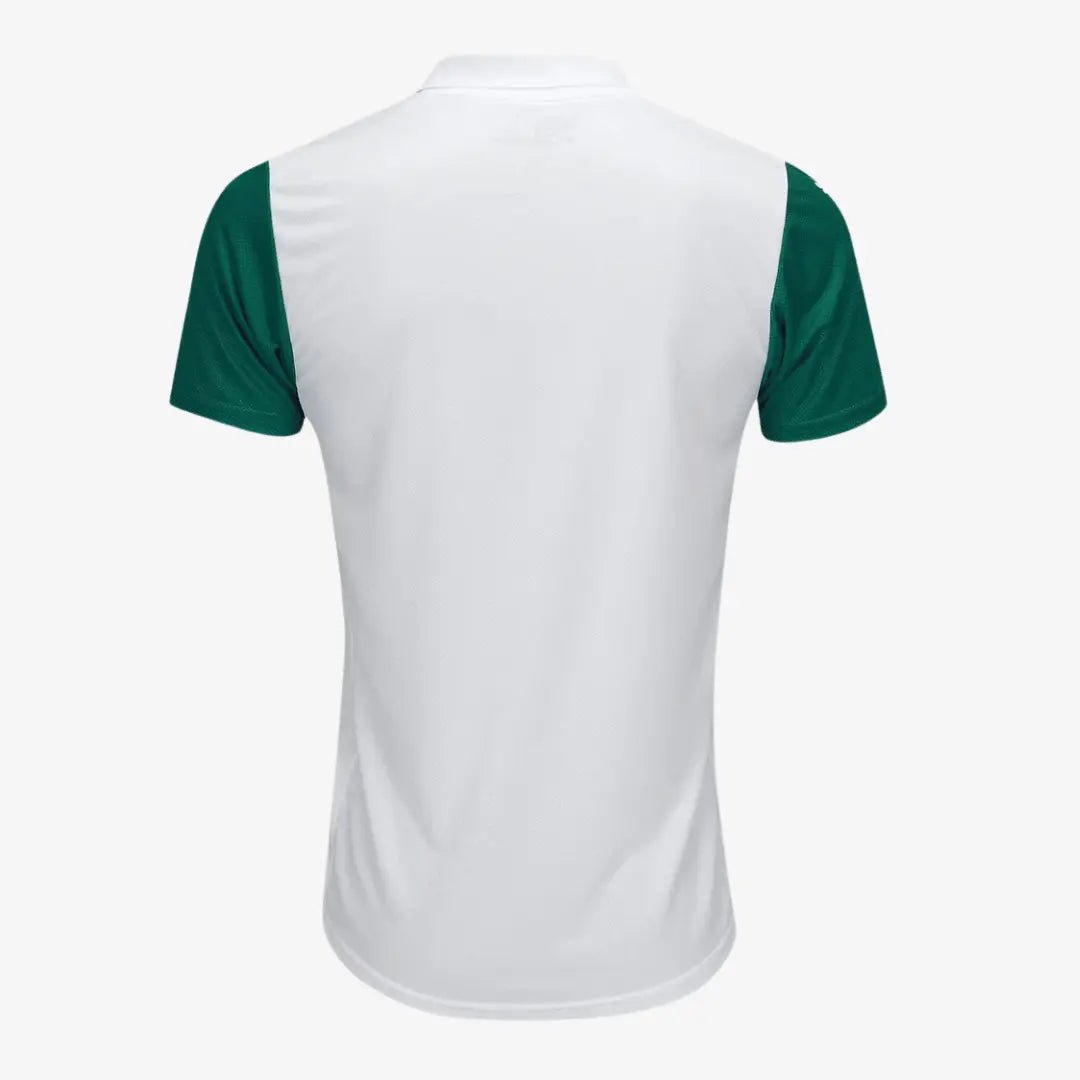 Camisa Puma Palmeiras 2025/26 II Jogador - Manto Club