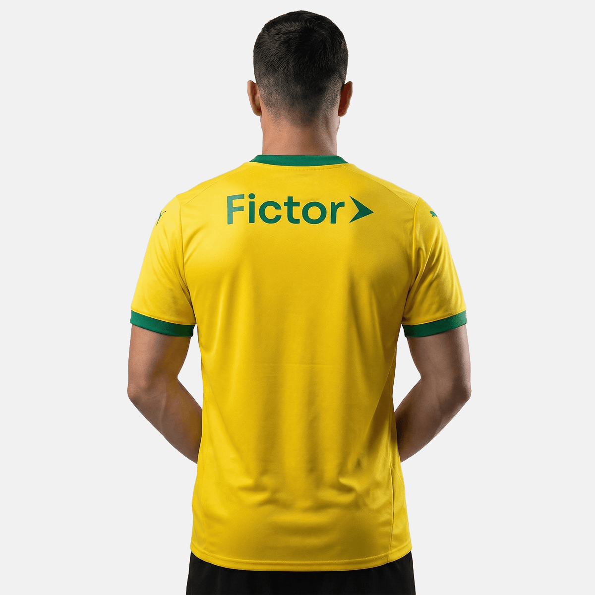 Camisa Puma Palmeiras 2025/26 III Torcedor - Manto Club